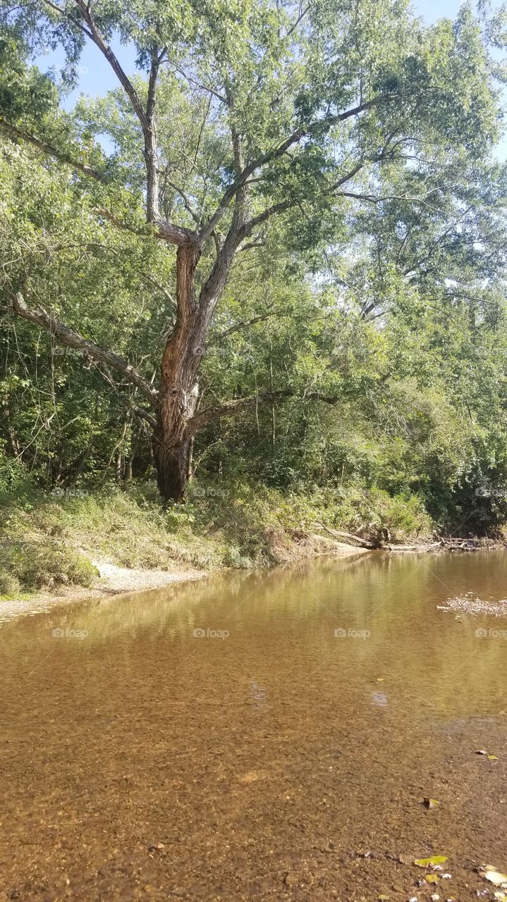 indian camp creek