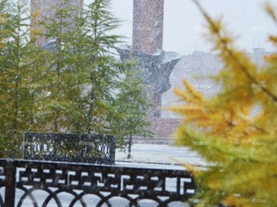 Первый снег