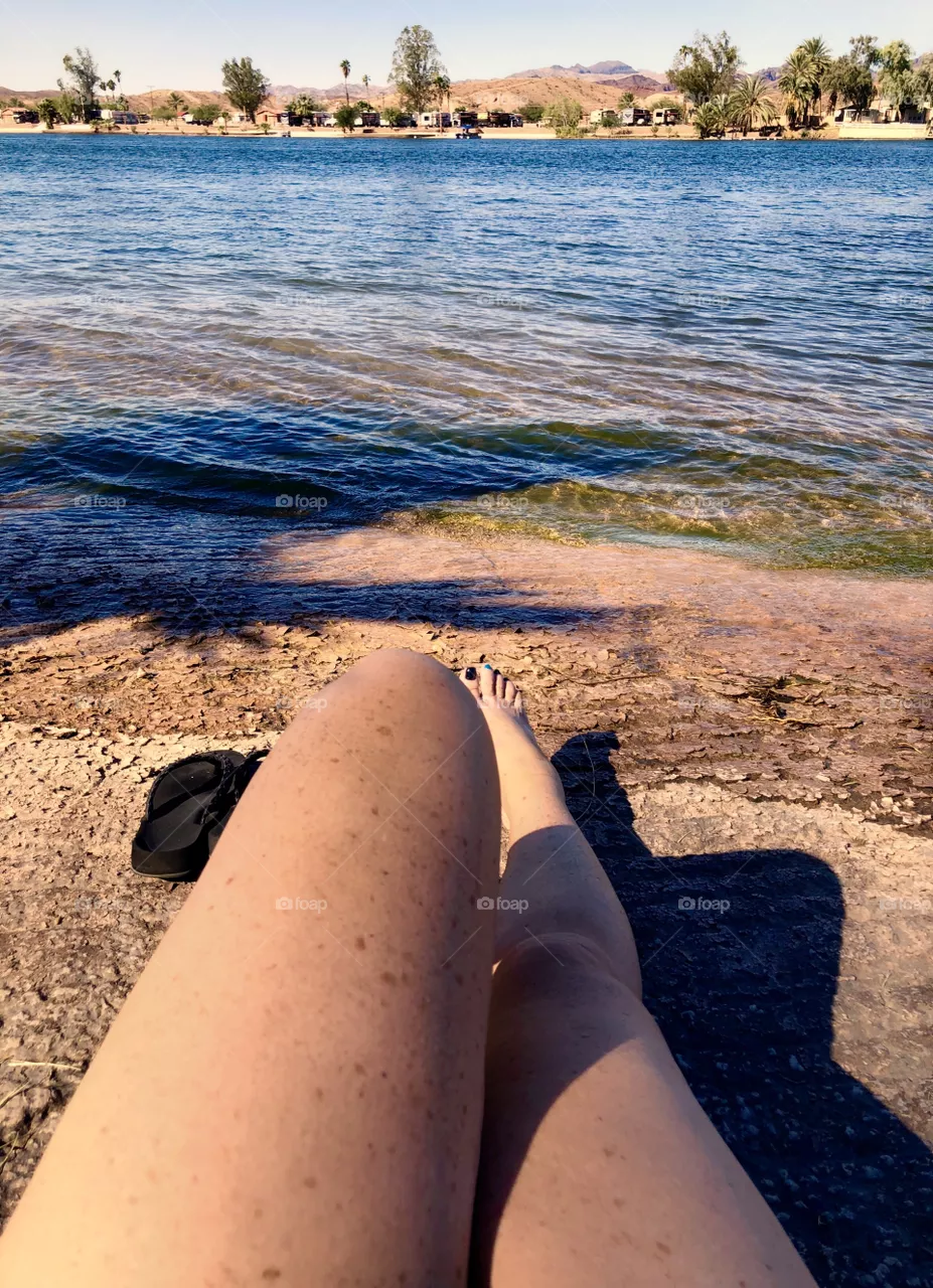 Legs