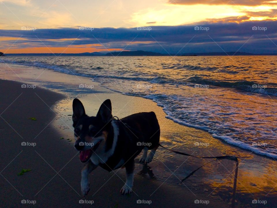 Beach fun 