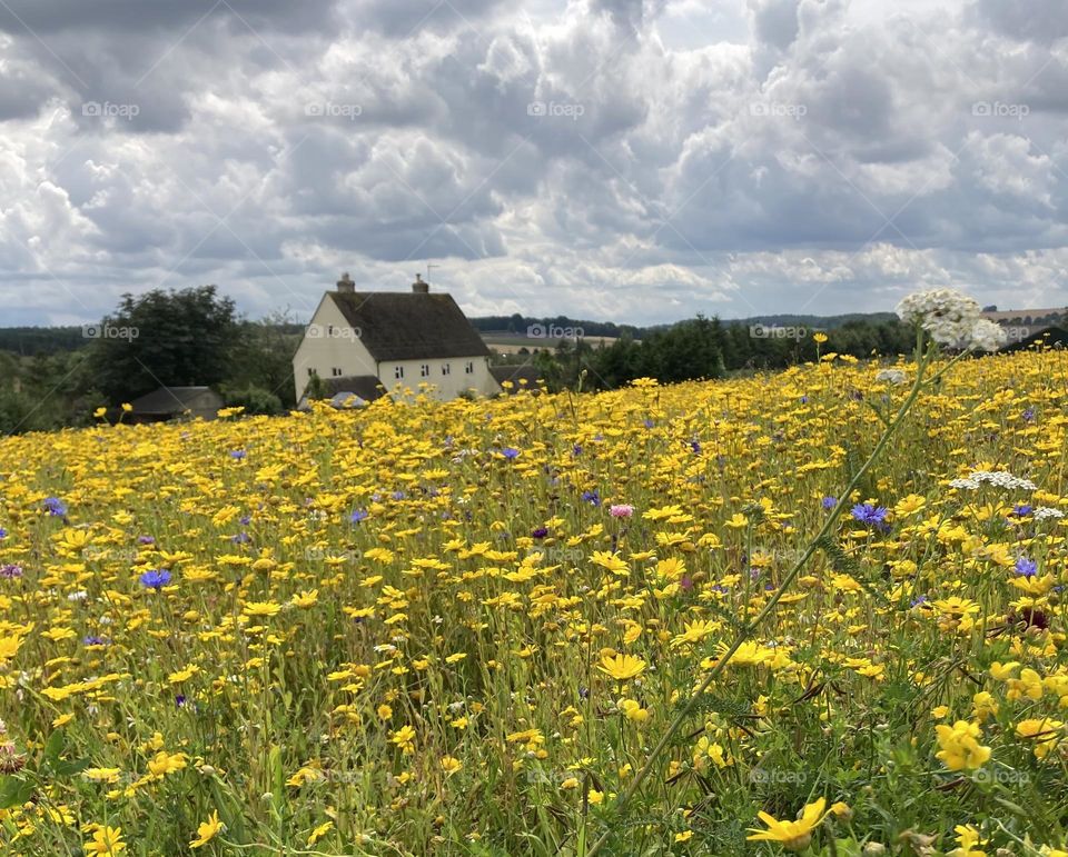 I wish I lived here! ☺️