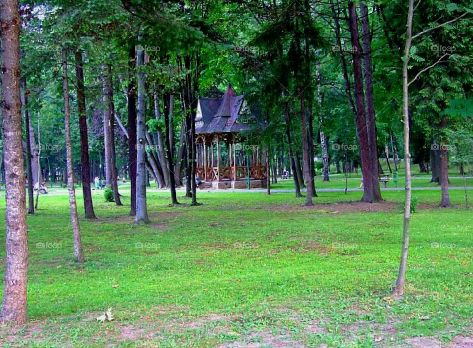 park