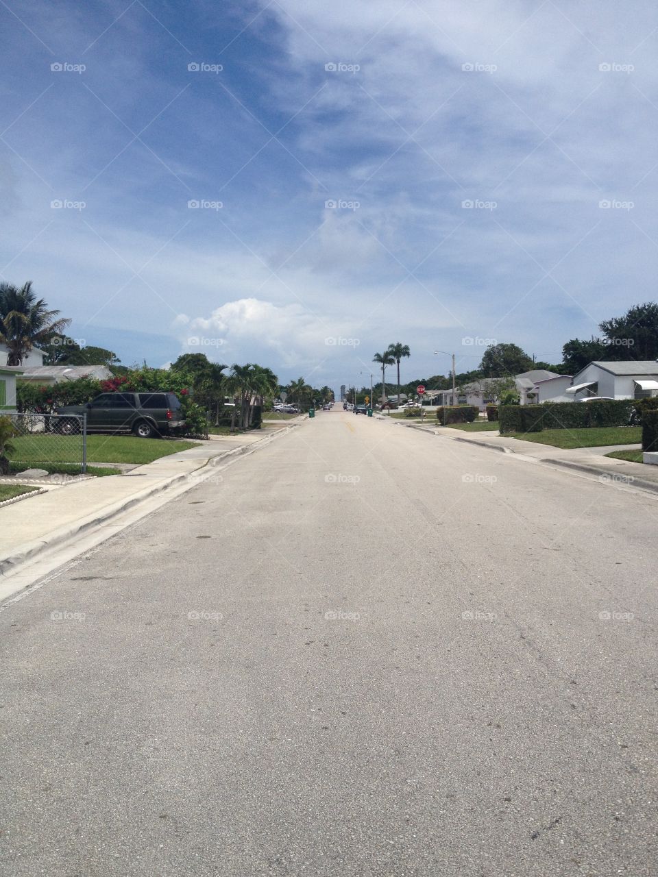 Florida life. Street in florida
