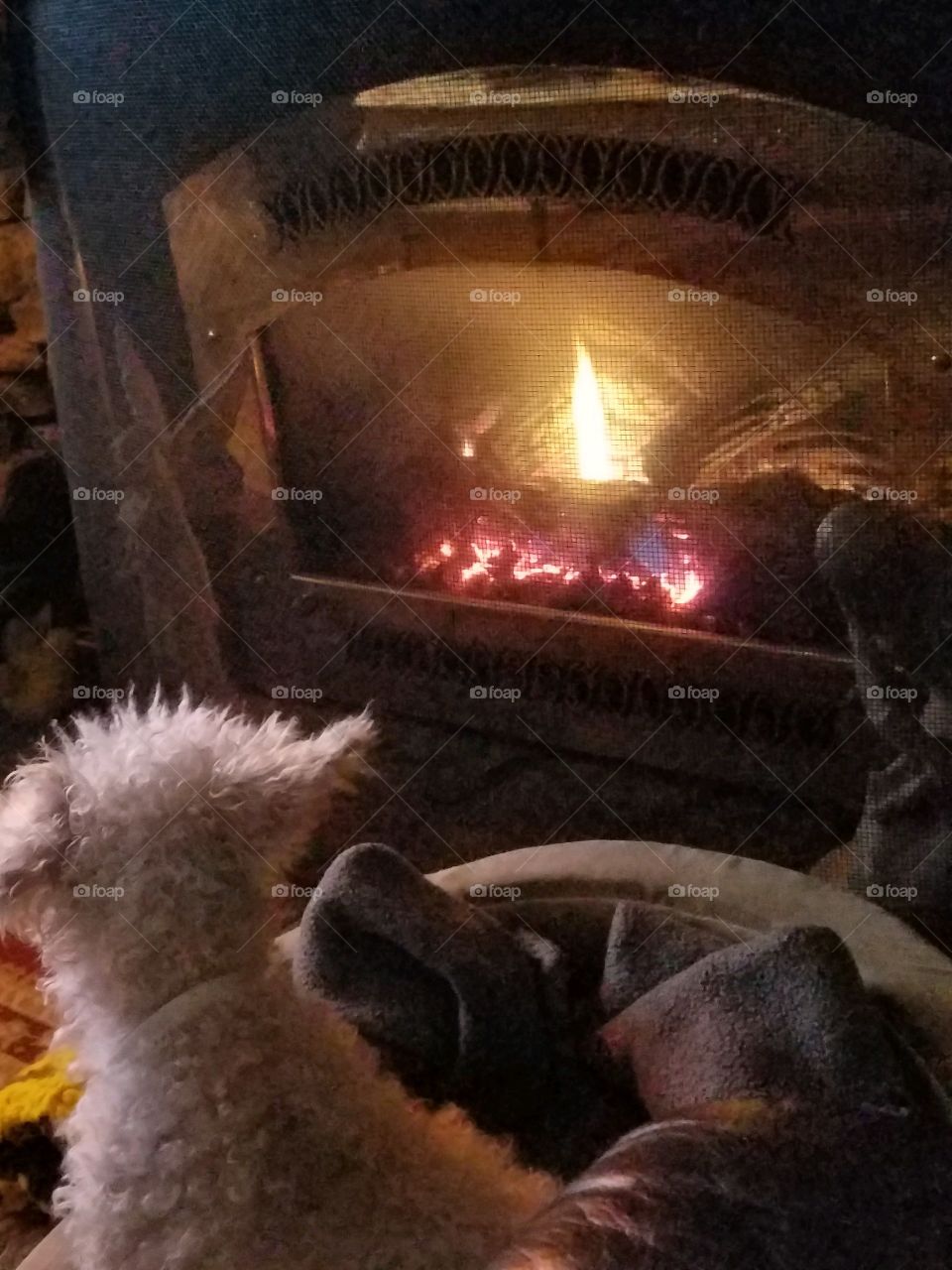 Dogs of the USA! Fireplace and dog!