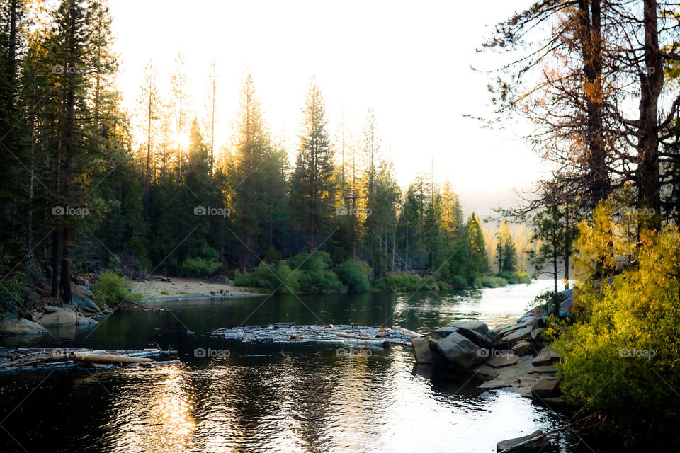 Hume Lake