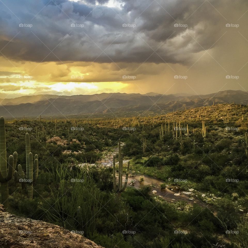 Nature Mountain Landscape 