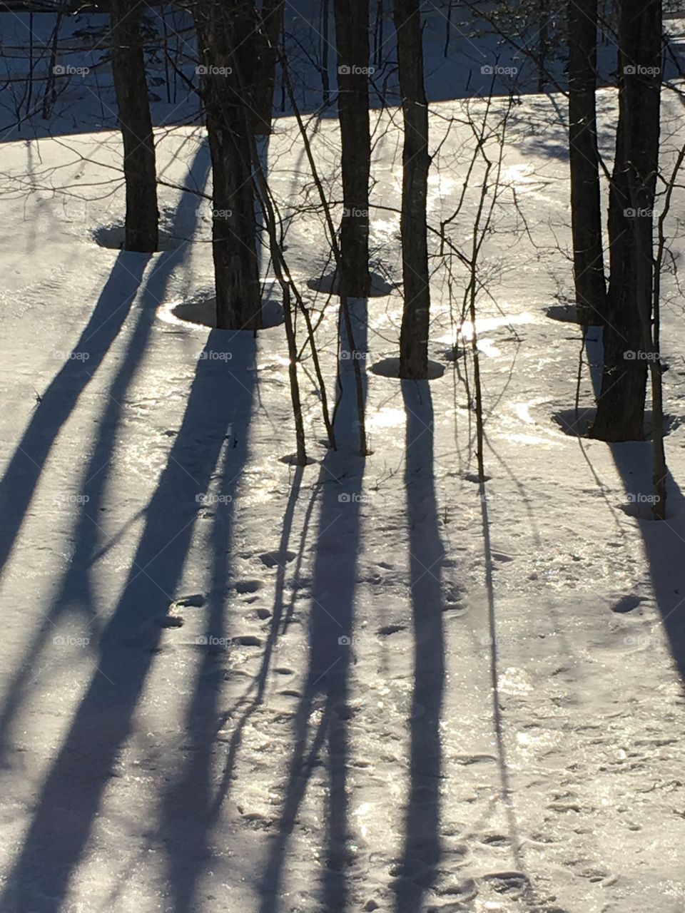 sunny morning in spring with lots of shadows on snow