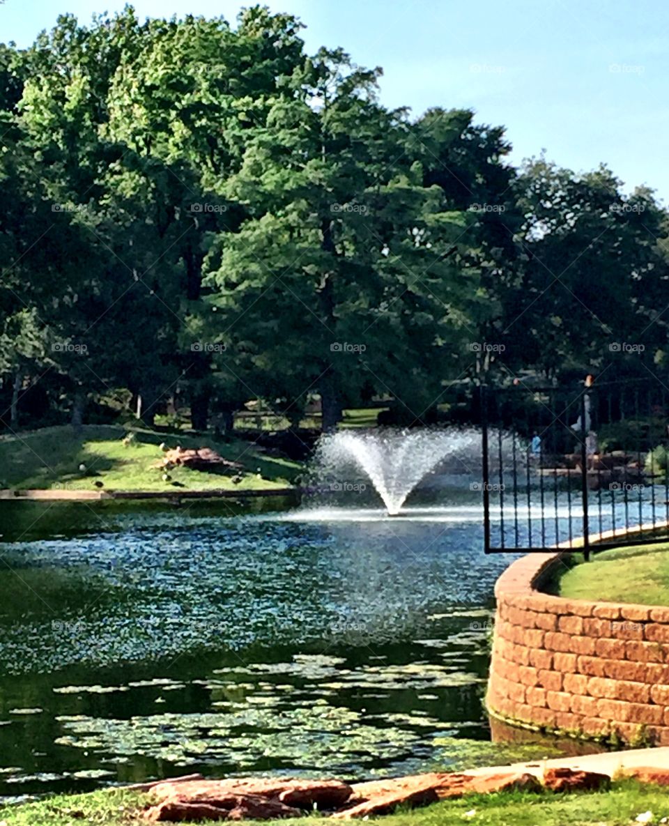 Water a Fountain