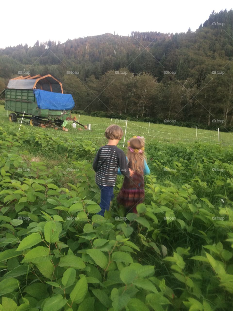 Children in pasture. Children in field