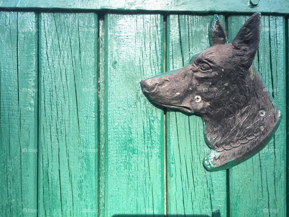 Dog on a green wooden fence