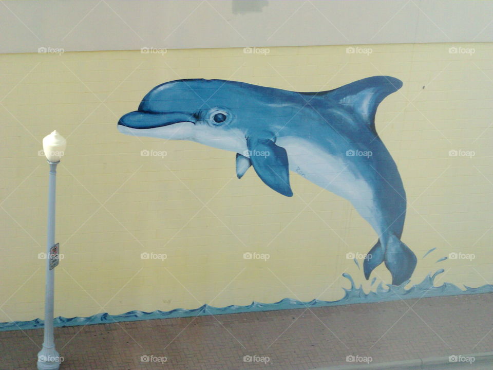 Dolphin