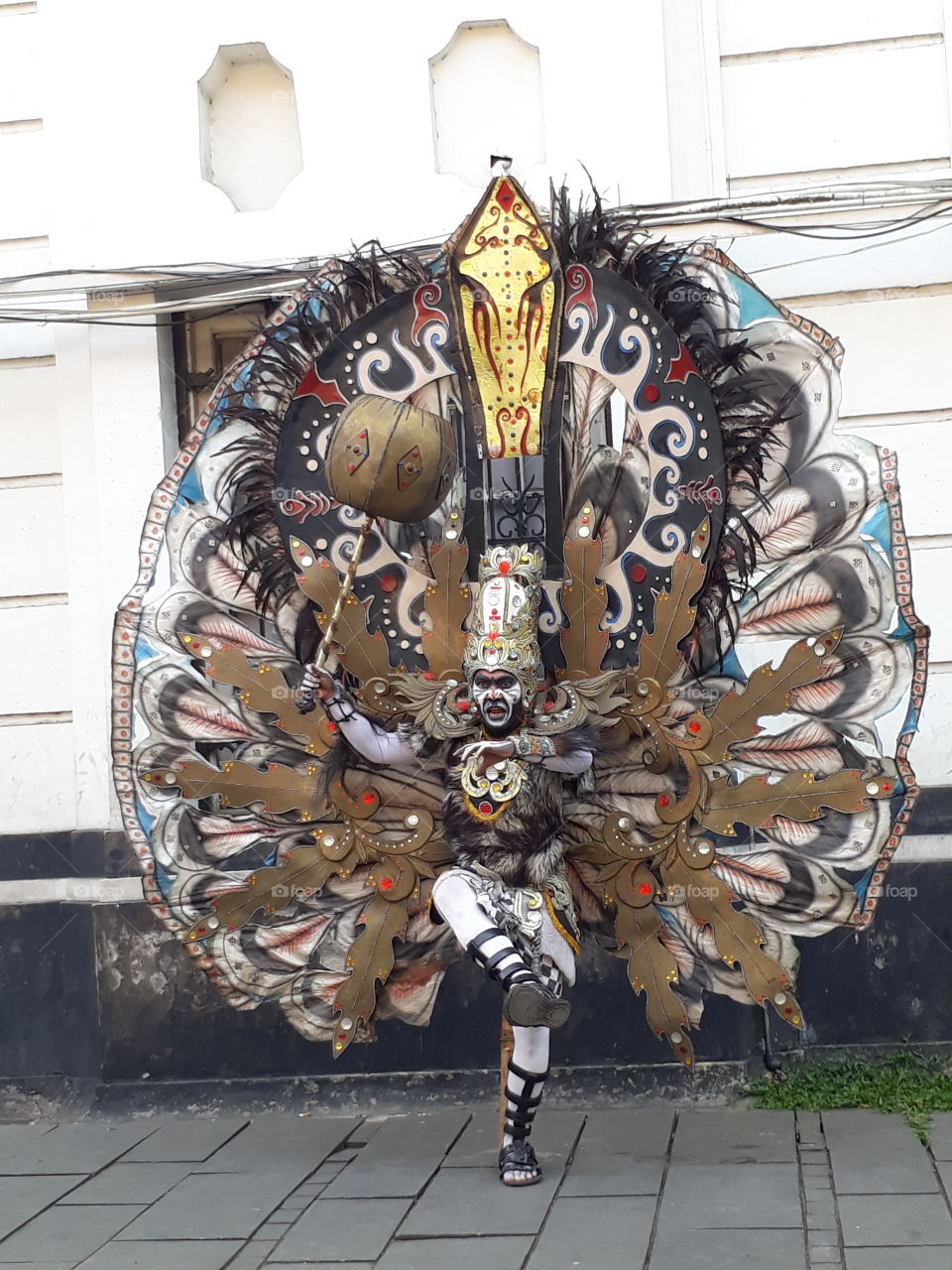 peacock costumes from irian jaya indonesia