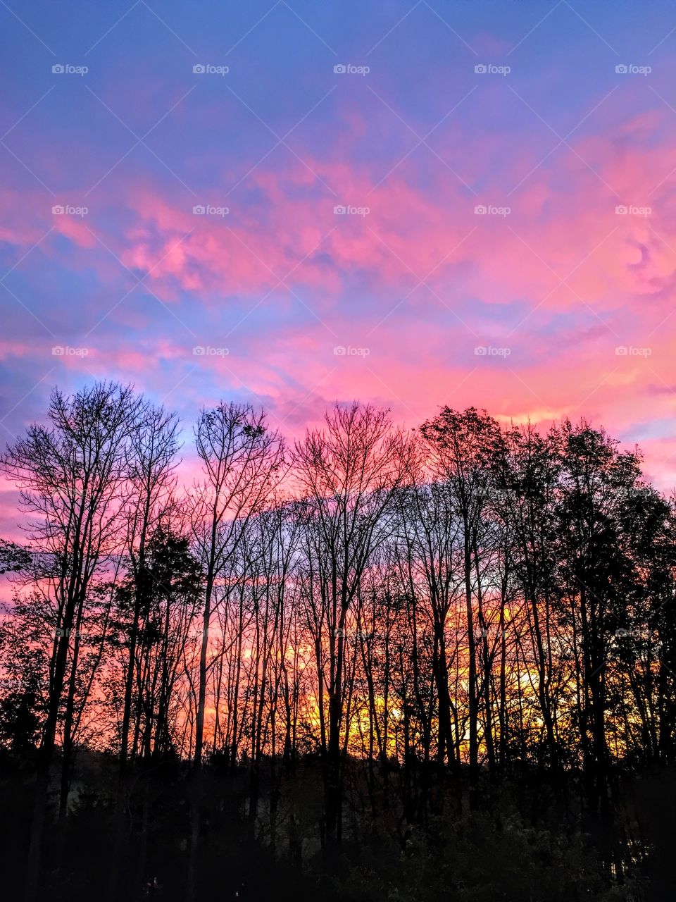 Sunrise
Pink sky
