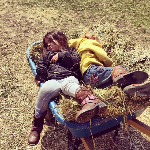 Nap time 