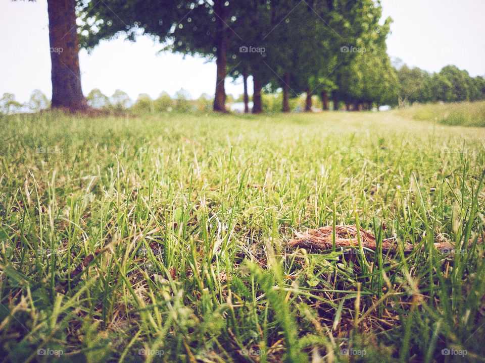 Always enjoy walking down this alley.