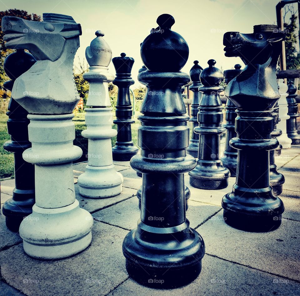 Chess. Board