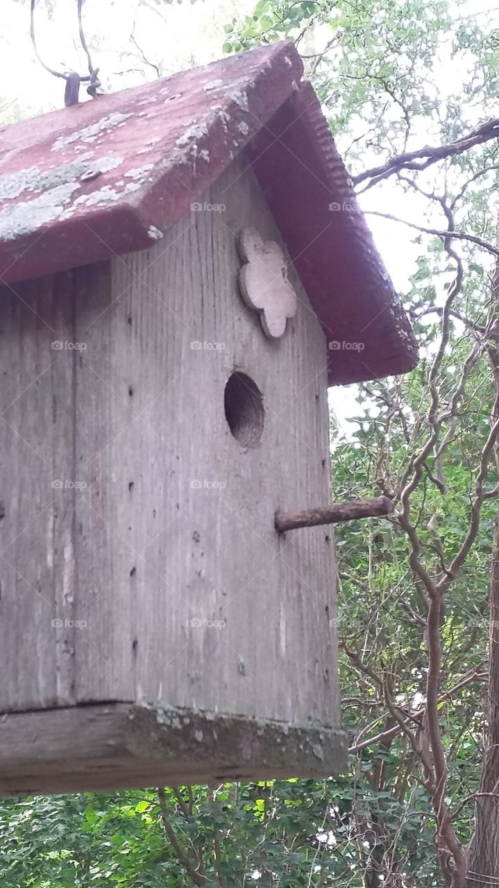 Bird house