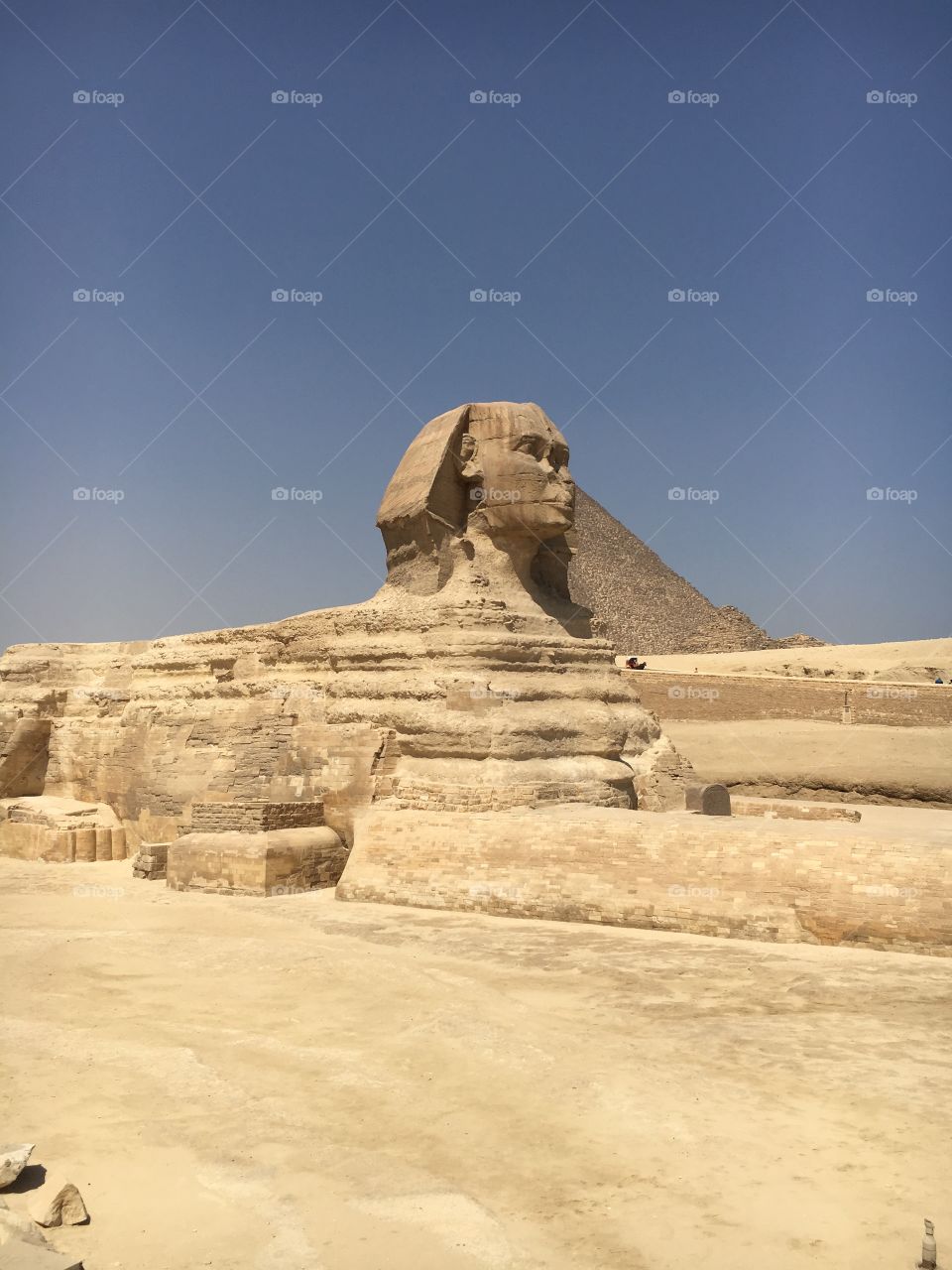 The Sphinx 