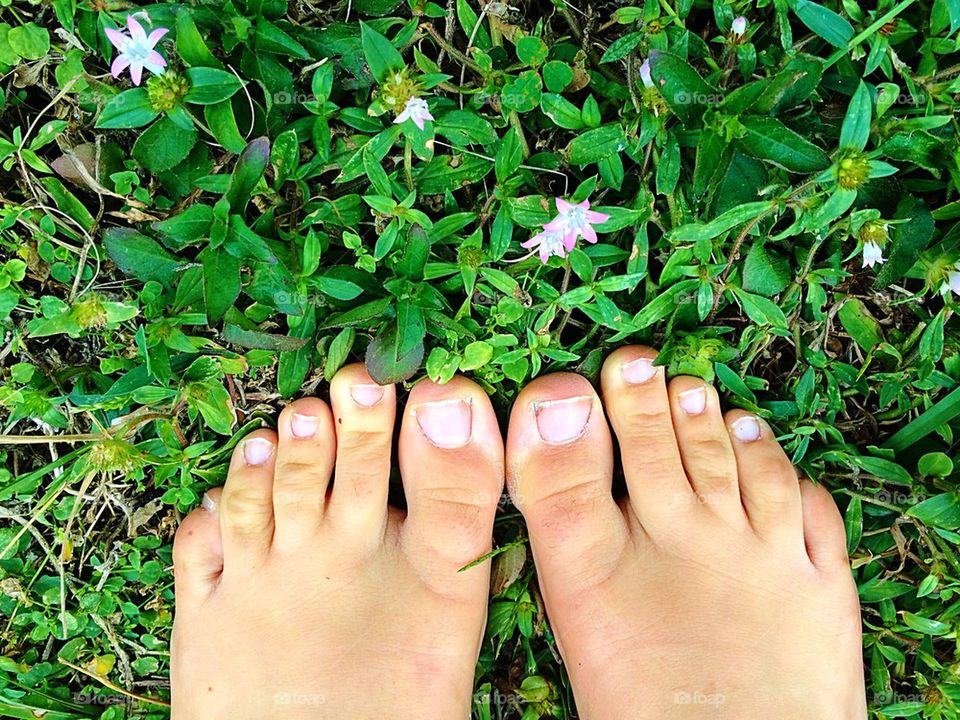 The grass is greener