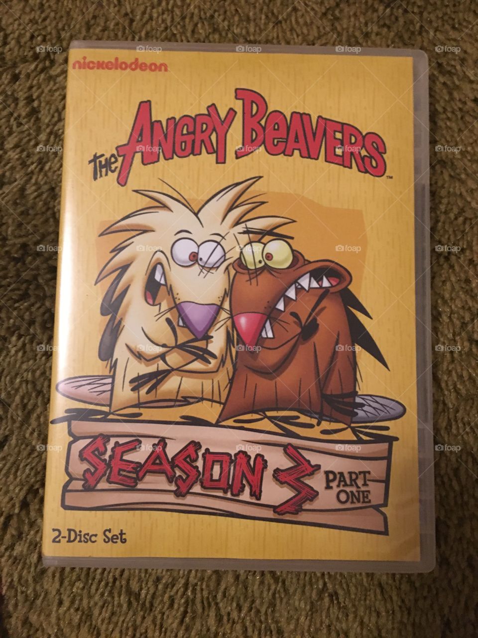 Angry Beavers Season 3 DVD