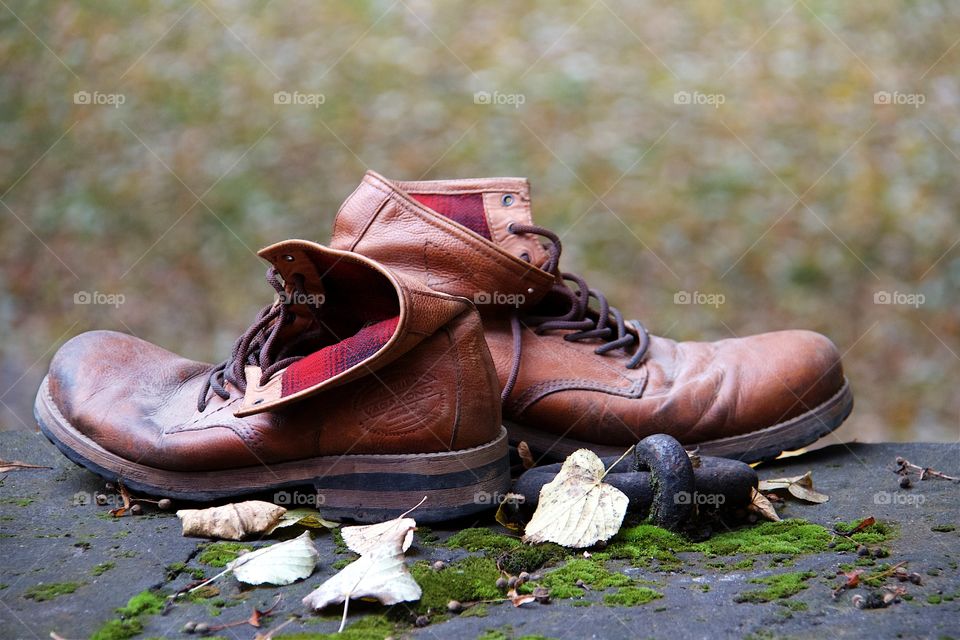 Brown shoes. Brown shoes
