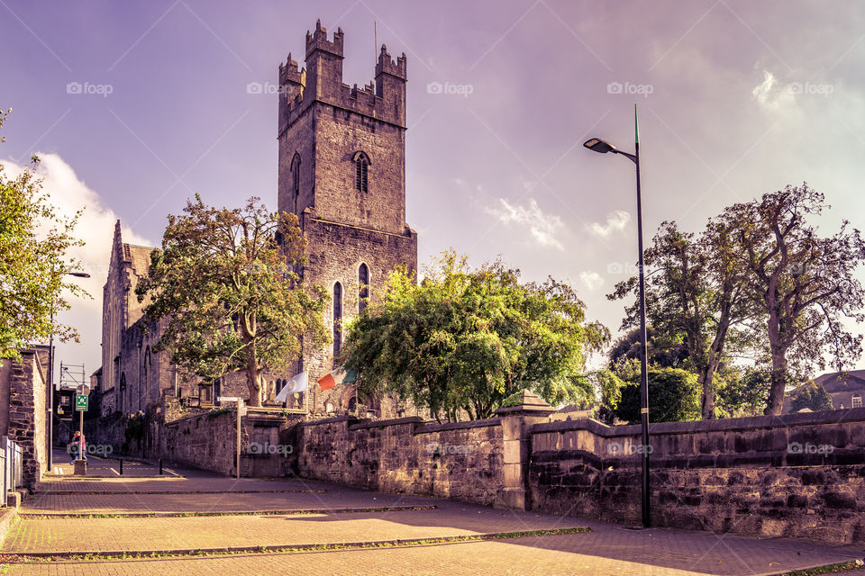 St. Marys cathedral, Limerick