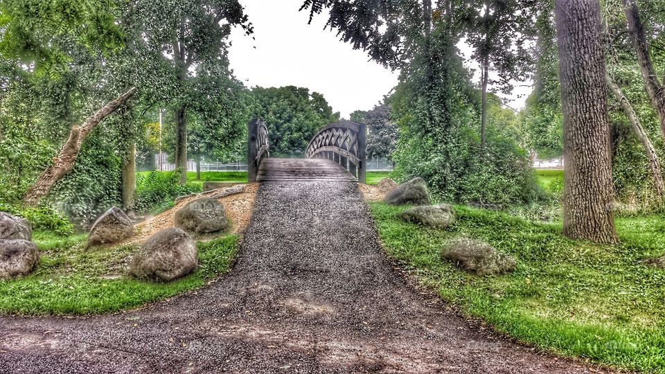 Bridge Walk