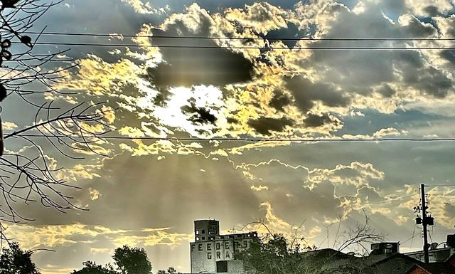 Sun Rays