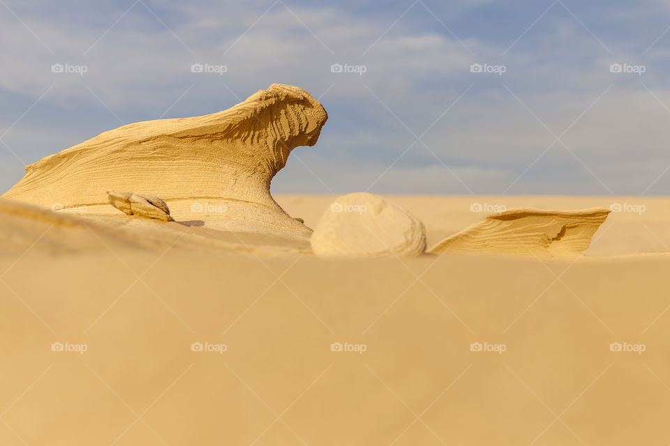 Wonder of the nature: fossil sand rocks in the desert