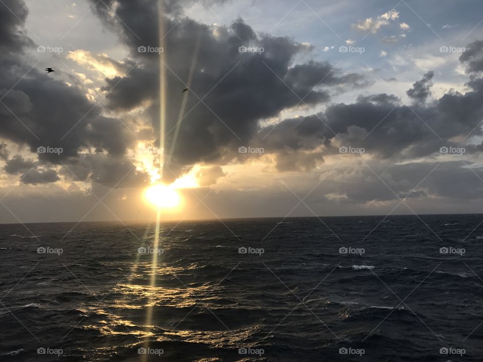 in the middle of the sea 