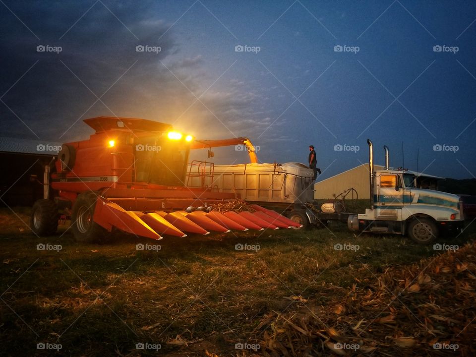 Late Night Harvest