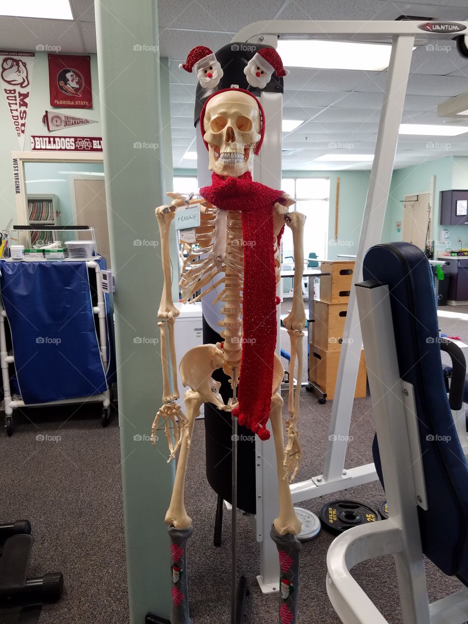 physical therapist humorous Christmas decoration