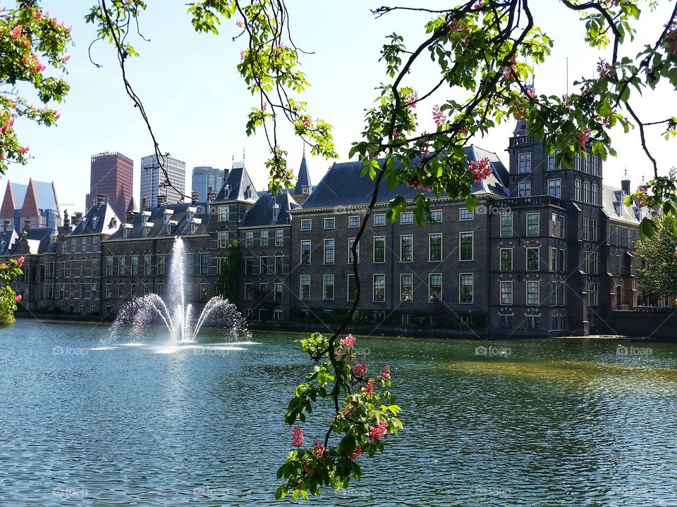 Den Hagg- Netherland