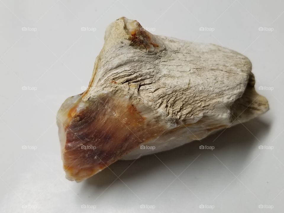 Pertrified Wood on fire with White Opal