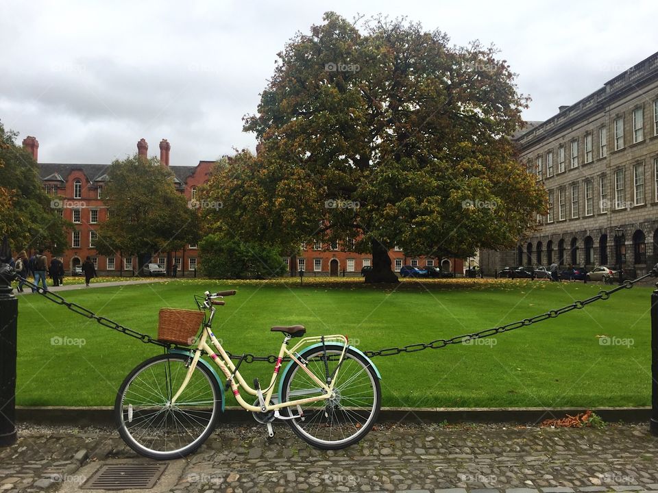 University, Park, Architecture, Outdoors, City