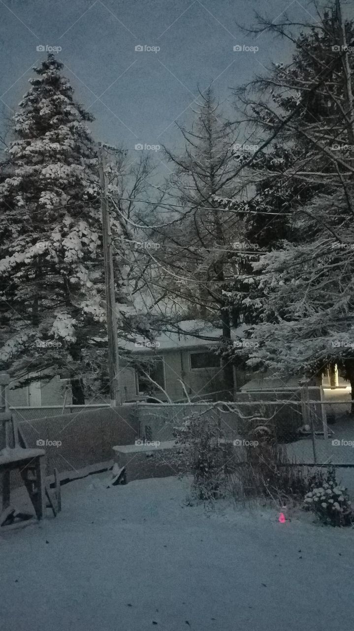 New Years Day early dawn 2019