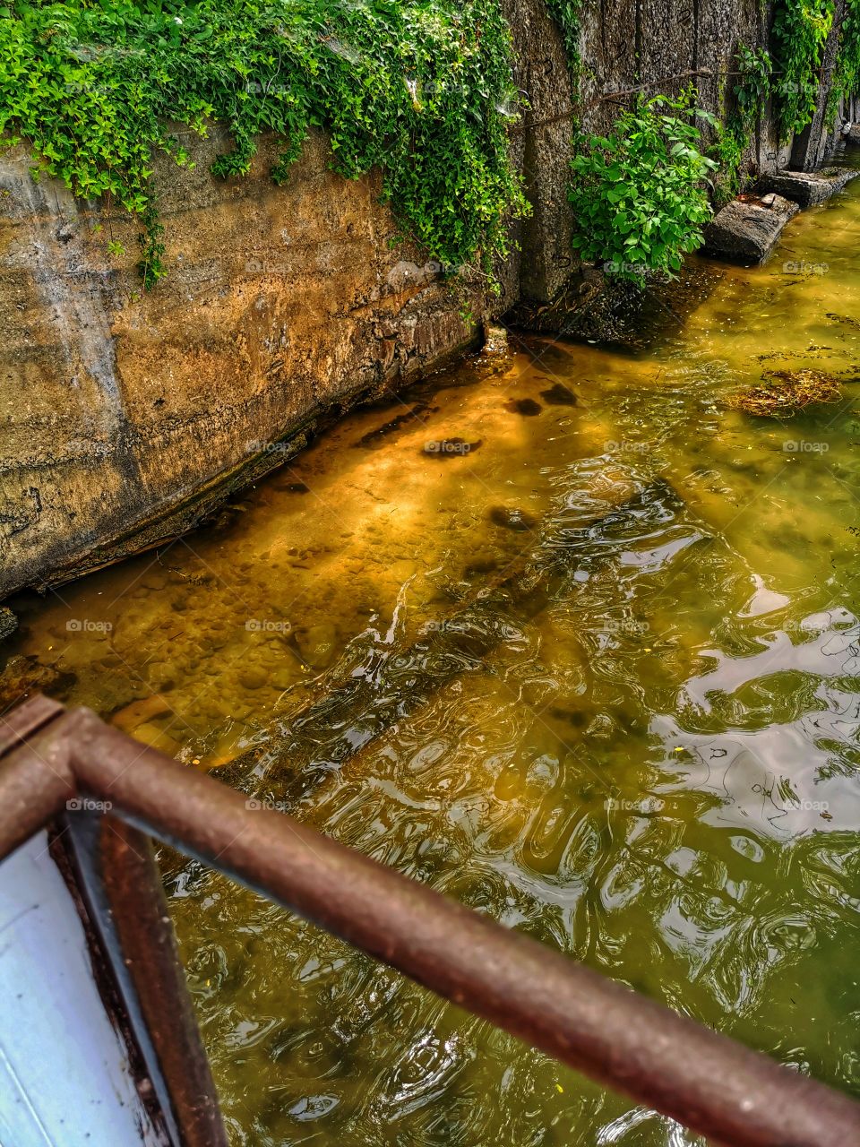From up to above feet legs mountains hills field nature view eco focus day part sun sunny travel Light reys trip form plant part shades shape beauty greens outdoor freedom happy happiness man shadow