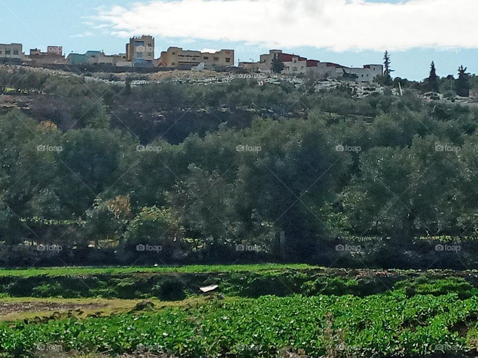 Population between the agricultural lands