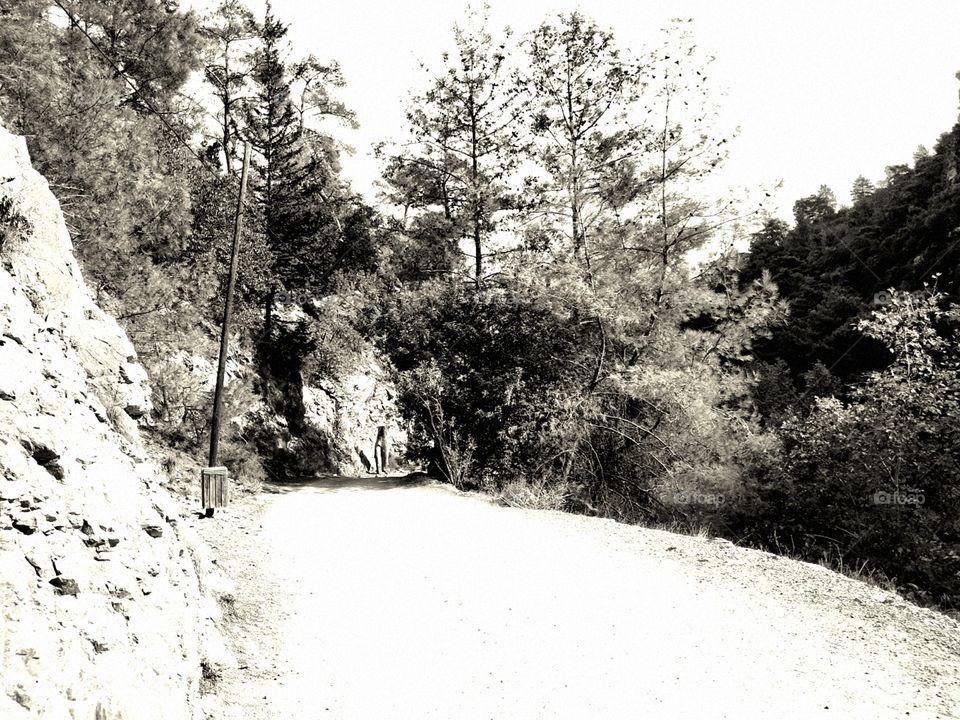 The walking street in the canyon with trees, rock wall and river in the chasm. Black and white picture with daylight.