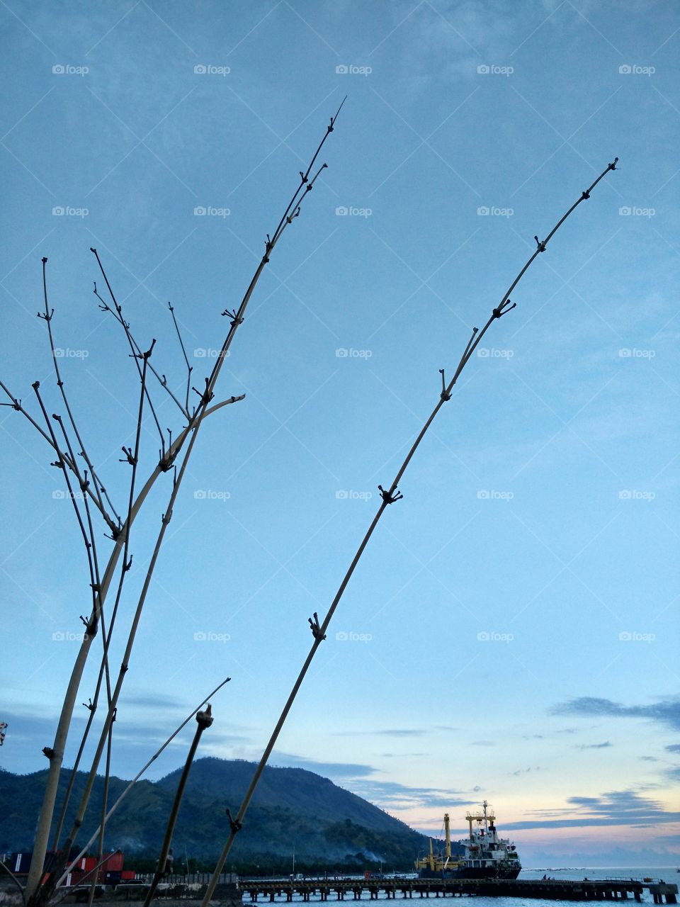 Twig to the blue sky