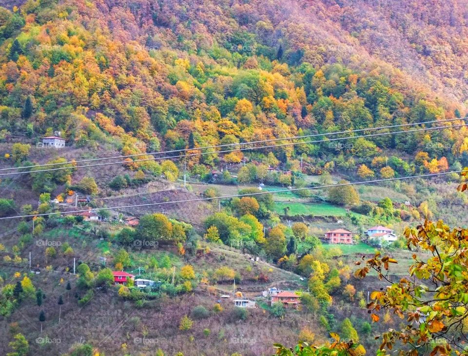 Autumn colors in my village
