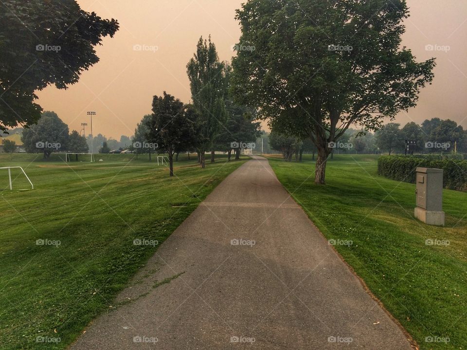 Smokey day at the park! 