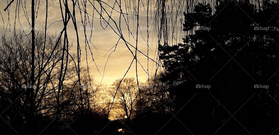 couché de soleil Parc Barbieux