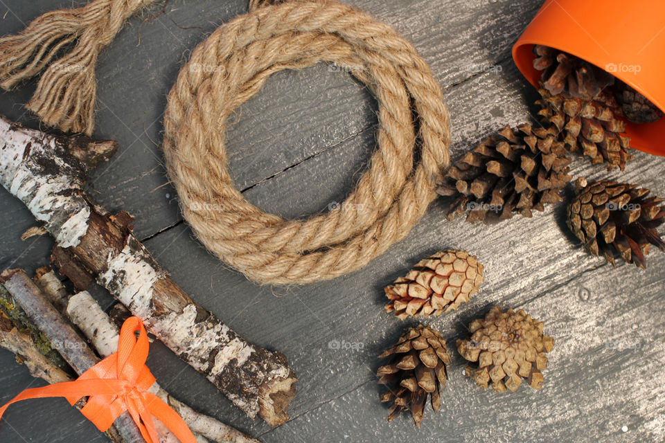 Vegetables, Halloween, pumpkin, corn, harvest, fertility, agriculture, food, cones, forest, birch branches