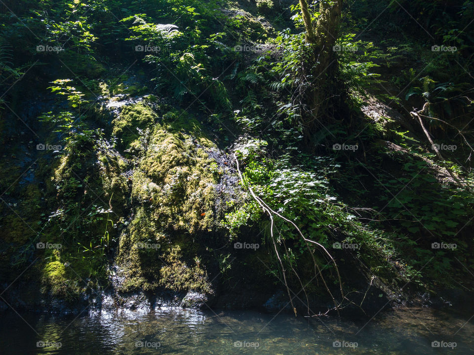Sun light rock and river