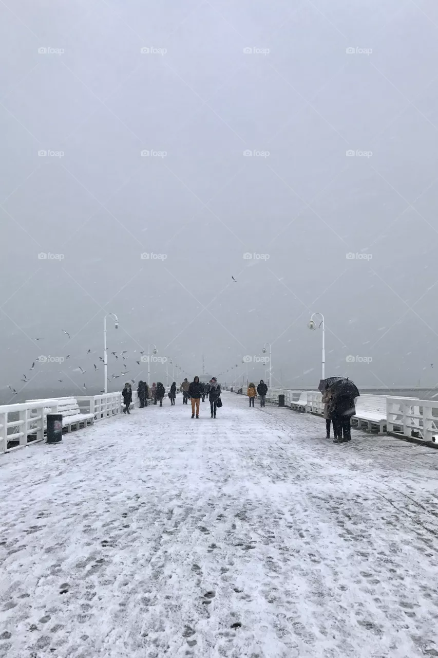 Winter