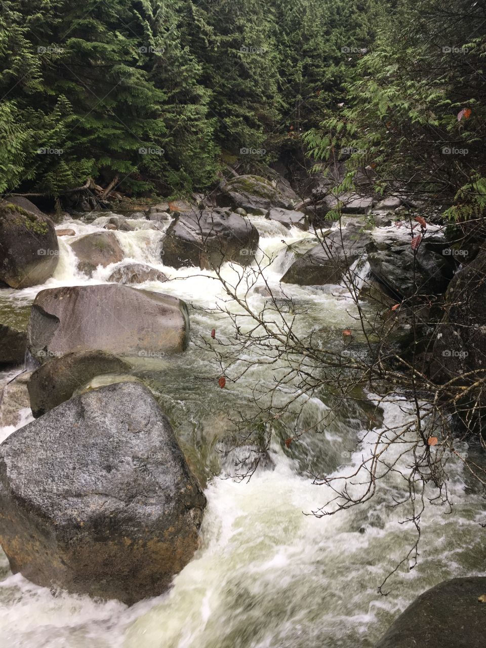 Slippery, slimy river rocks 