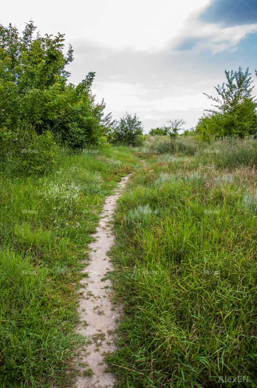 Green path