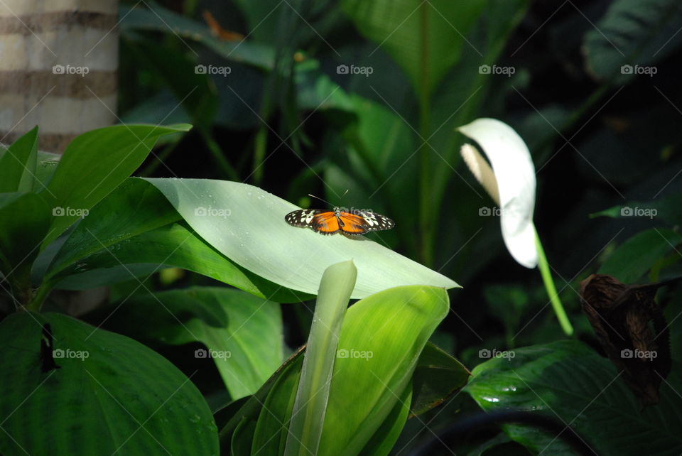 Quiet resting place