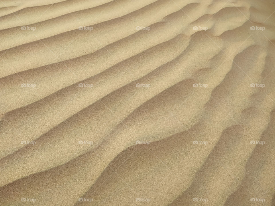 A closeup of sand dune texture
